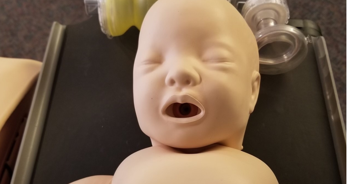 BLS Life Support Training