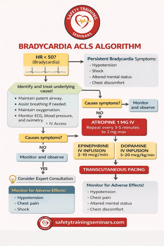Bradycardia ACLS Algorithm - Safety Training Seminars